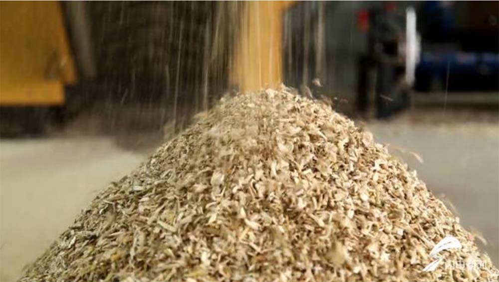 “廢料”變“肥料”！看園林廢棄物如何實現“落葉歸根”